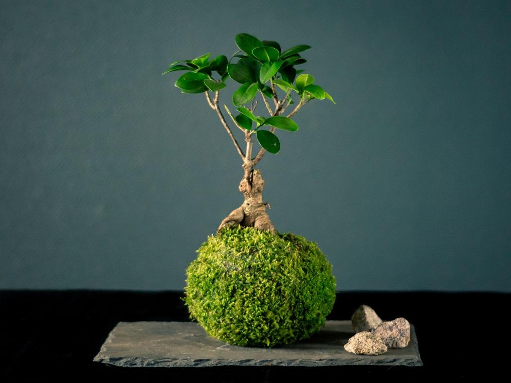 Faites une fleur- Atelier floral