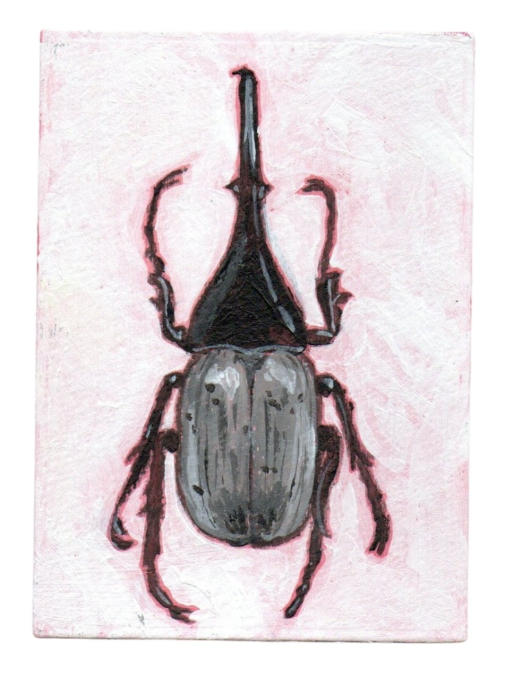 Pati d'Onirie. - Peinture