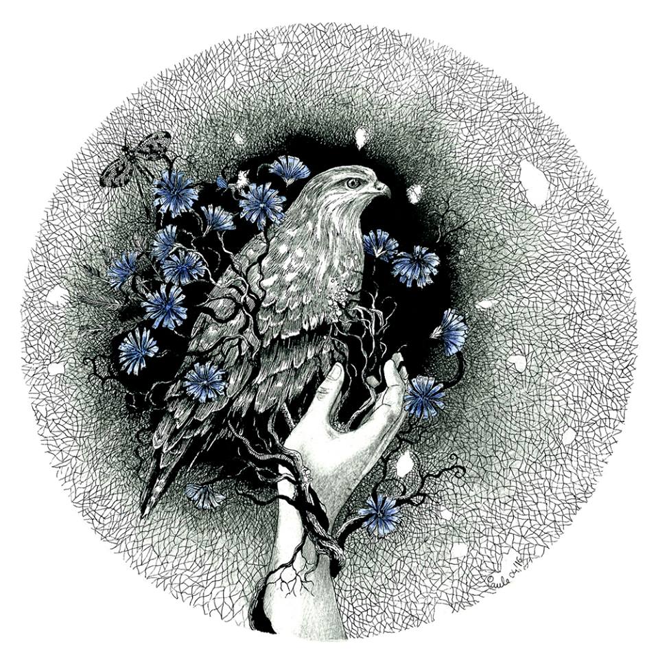 Paule Brun – Illustration