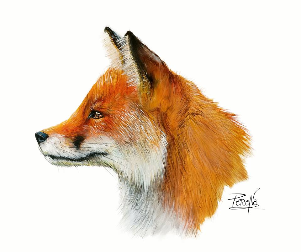 Peren’Art – Portraitiste animalier, Artiste muraliste et Peintre