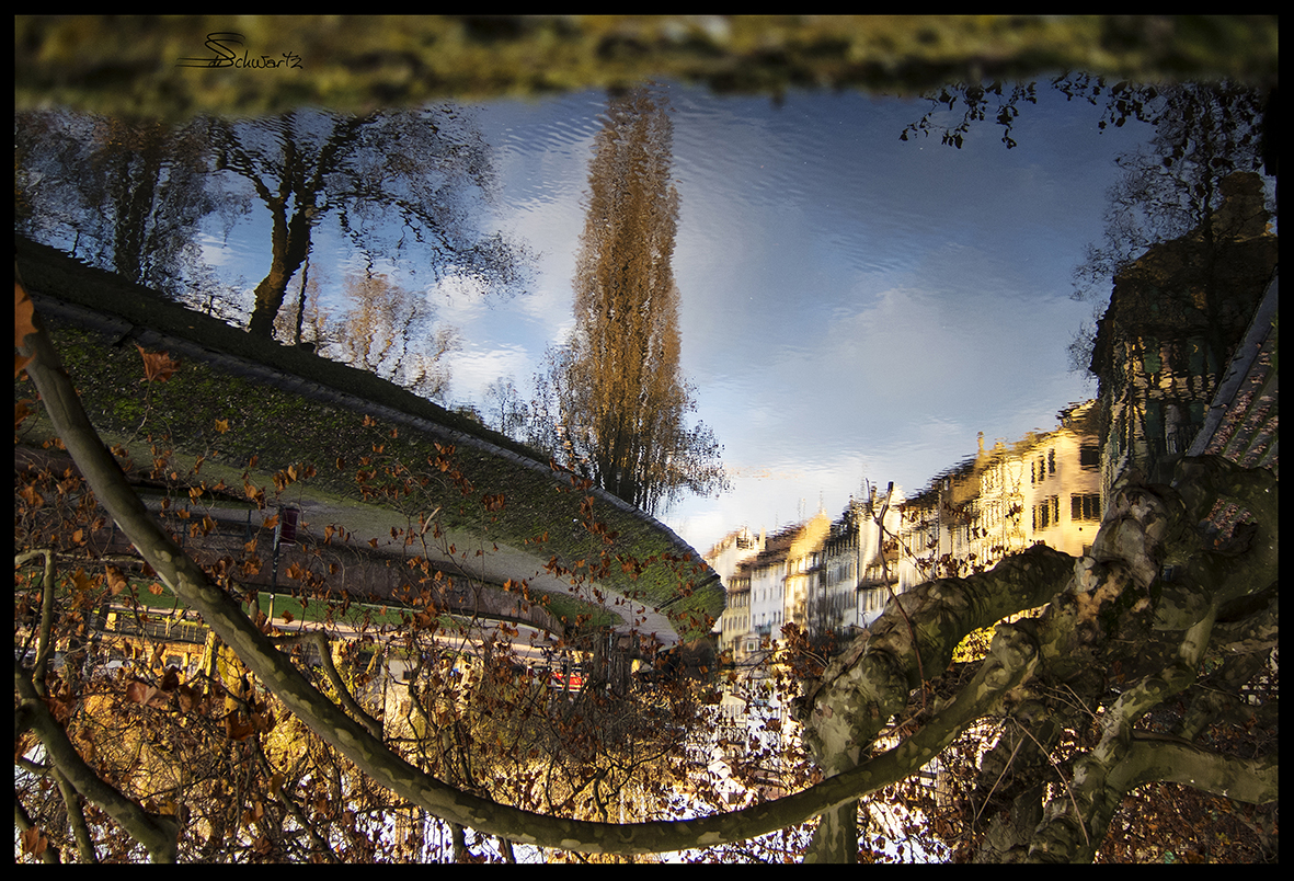 Sigrid de Nigris –  Photographe