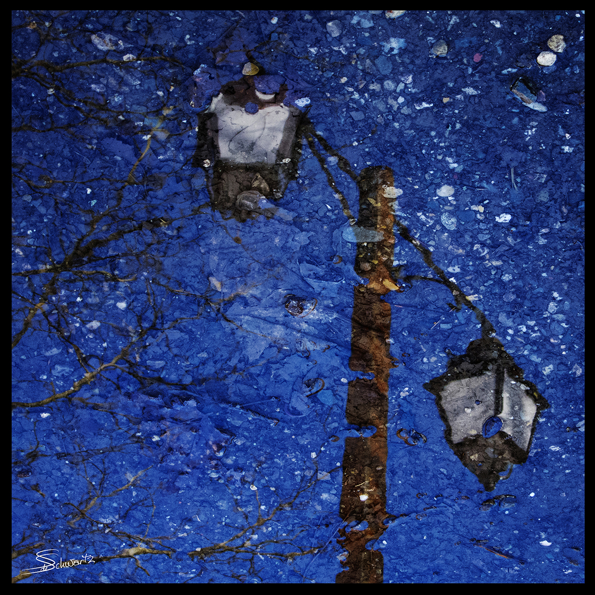 Sigrid de Nigris –  Photographe
