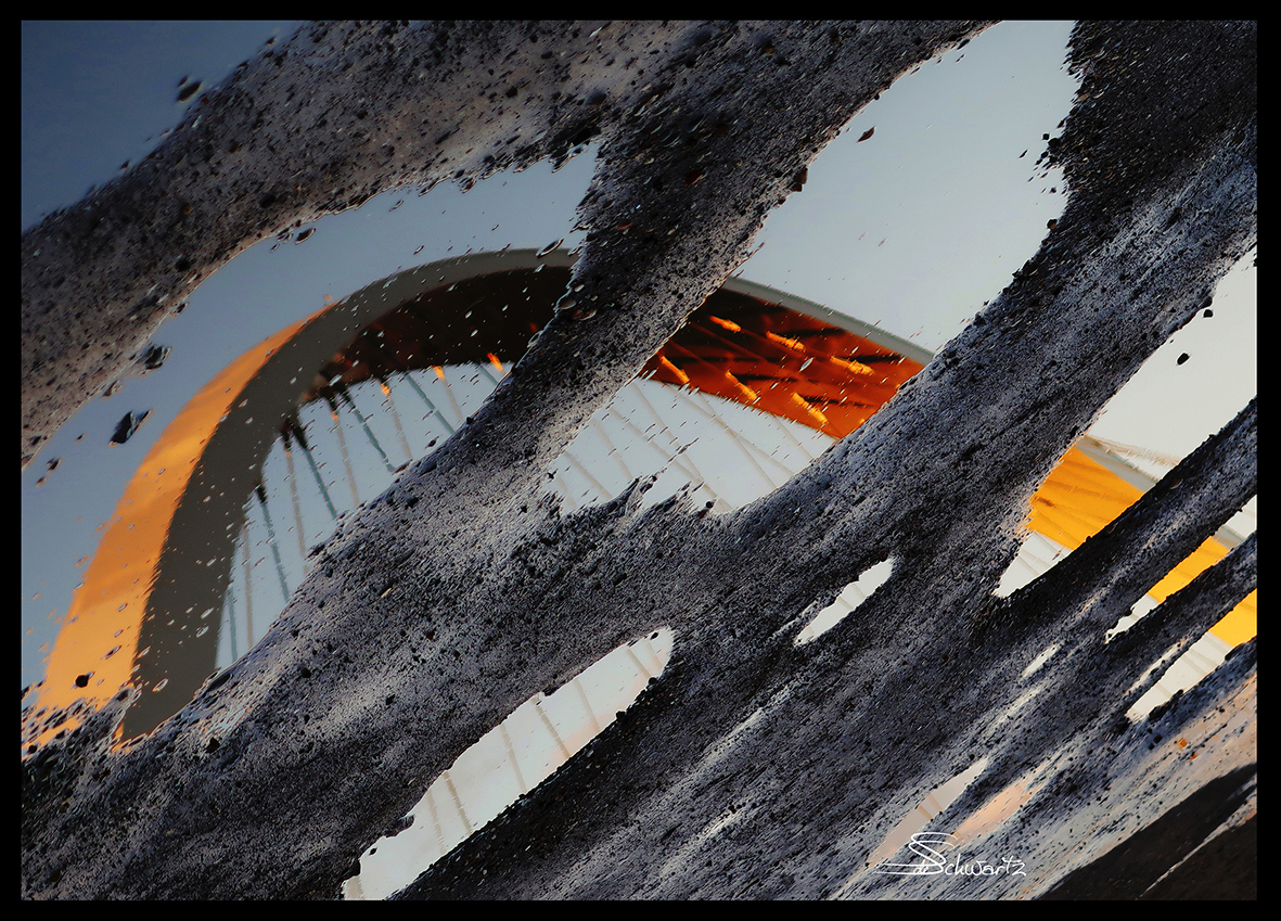 Sigrid de Nigris –  Photographe