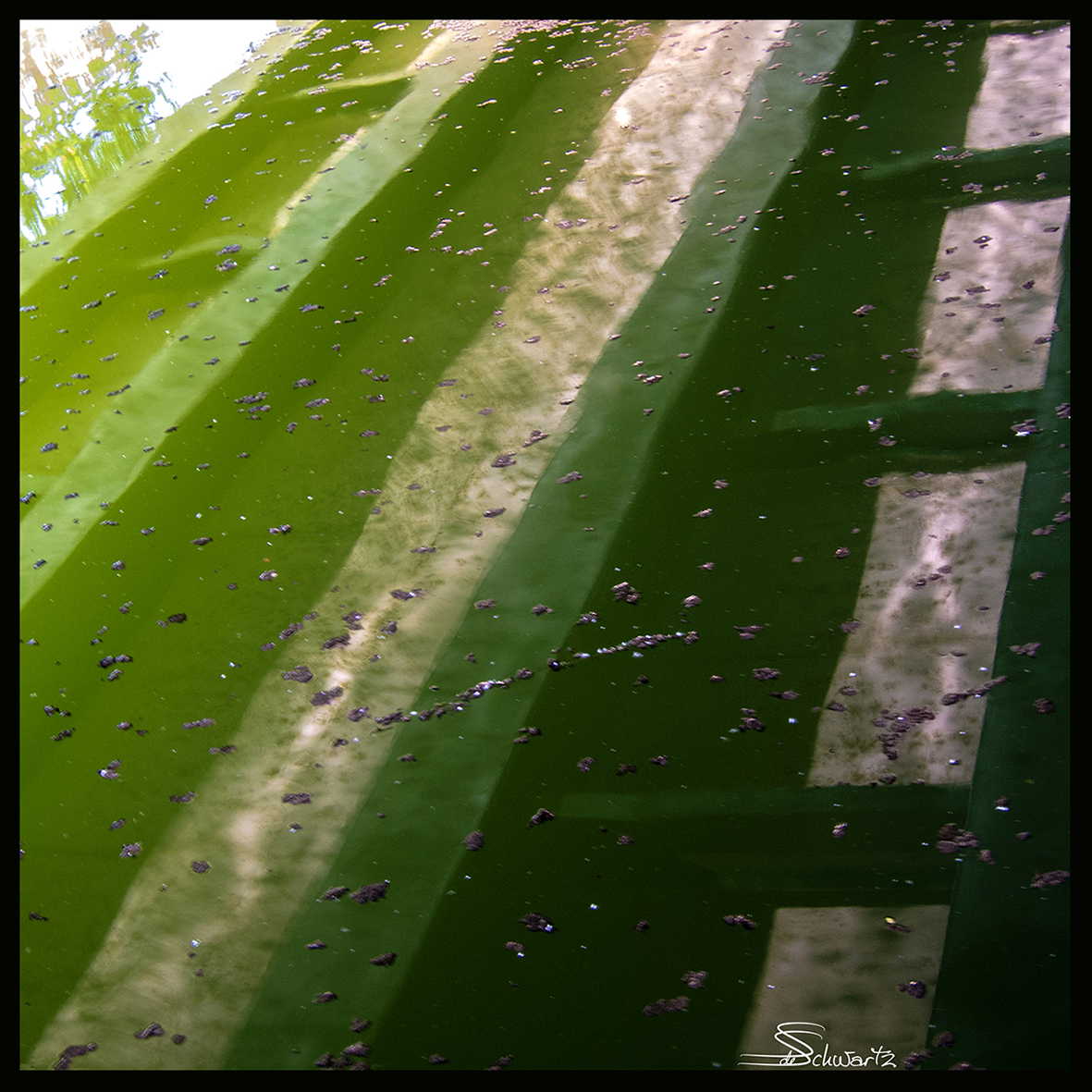 Sigrid de Nigris –  Photographe