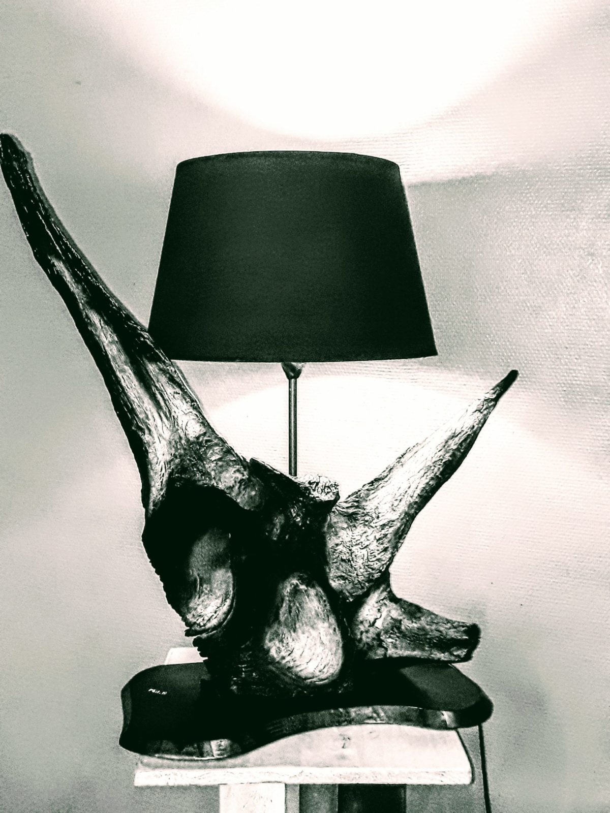 Philippe Huck – Objets de décoration intérieur en Lierre