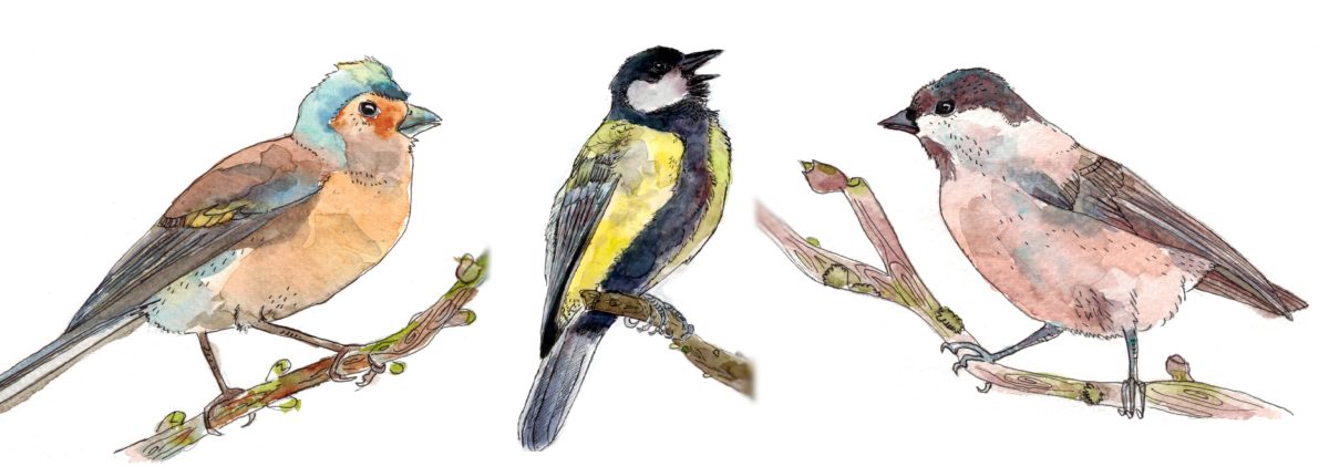 Noulette – Peintre Aquarelliste