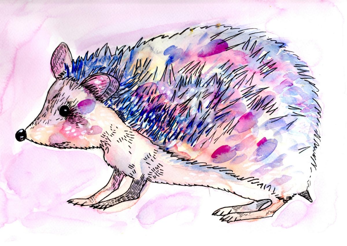 Noulette – Peintre Aquarelliste
