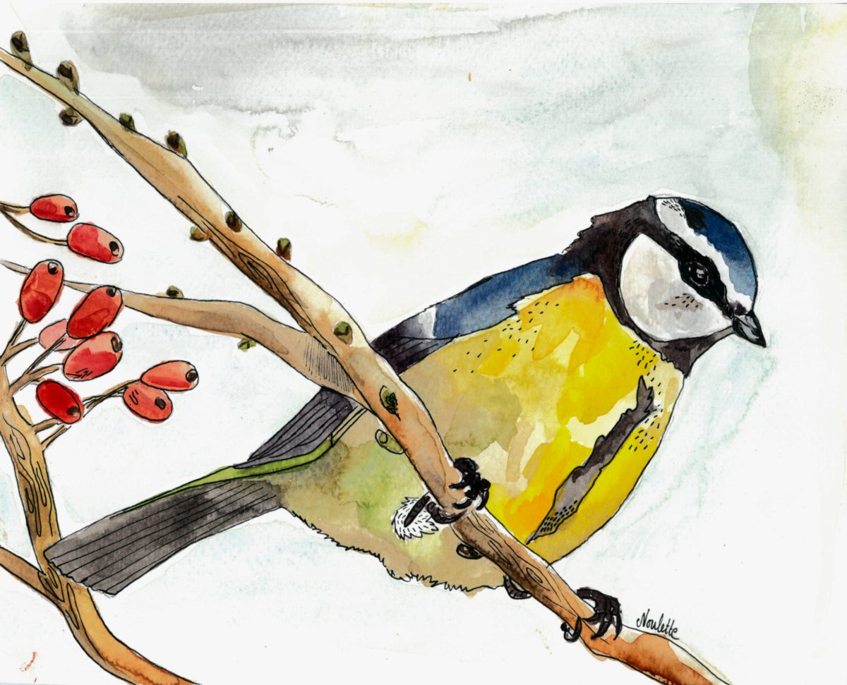 Noulette – Peintre Aquarelliste