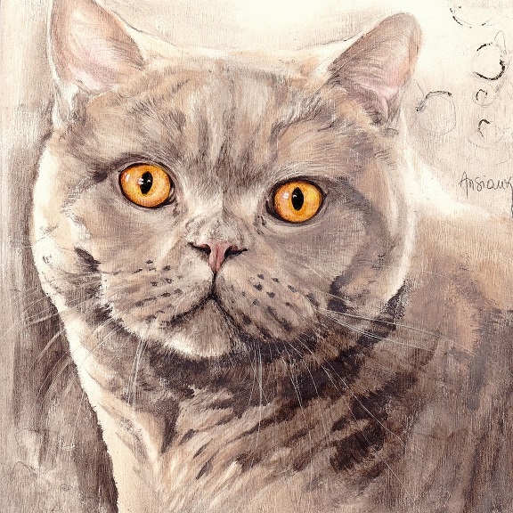 Sonia Ansiaux – Art & Passions