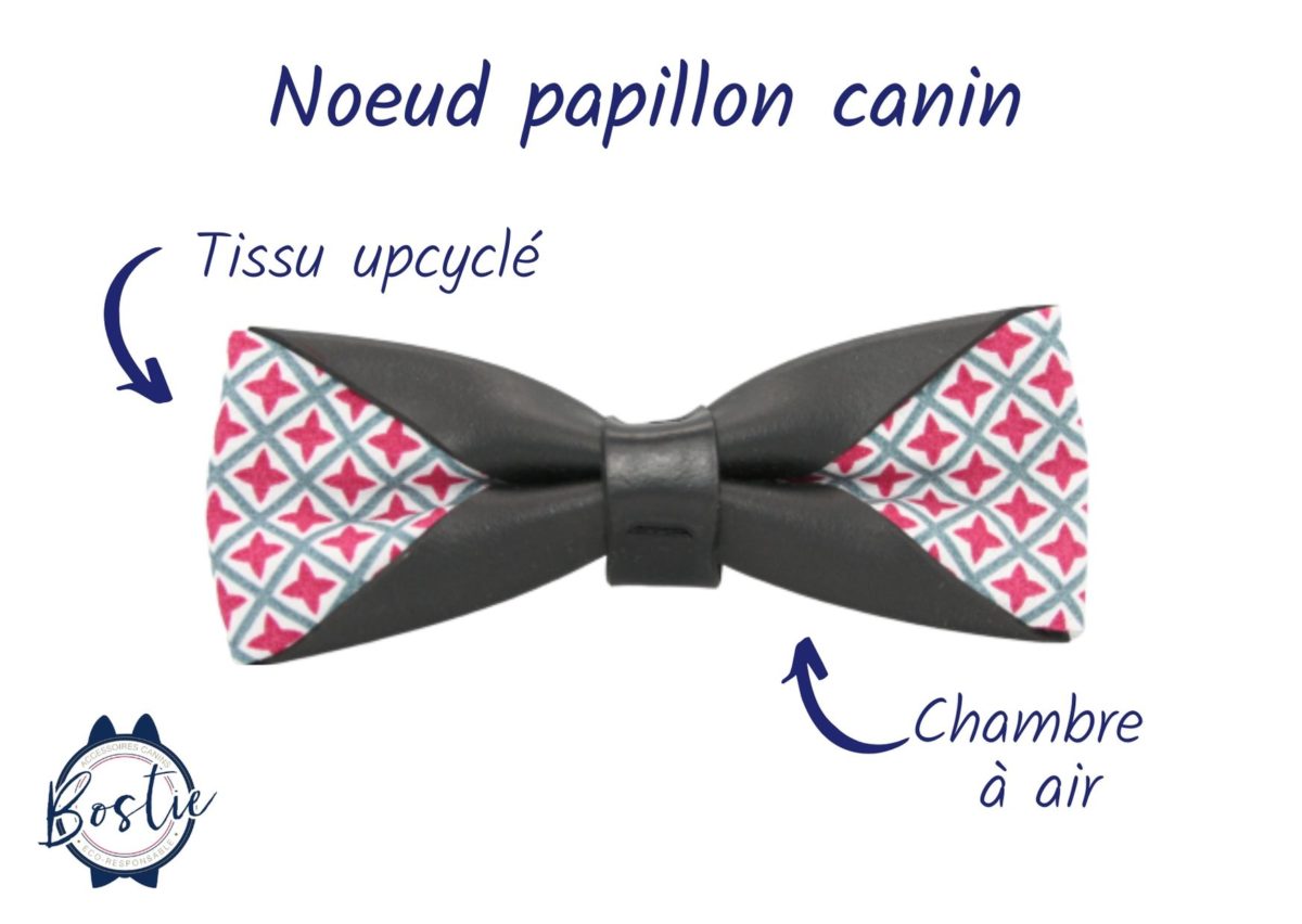 Bostie – accessoires canins éco-responsables