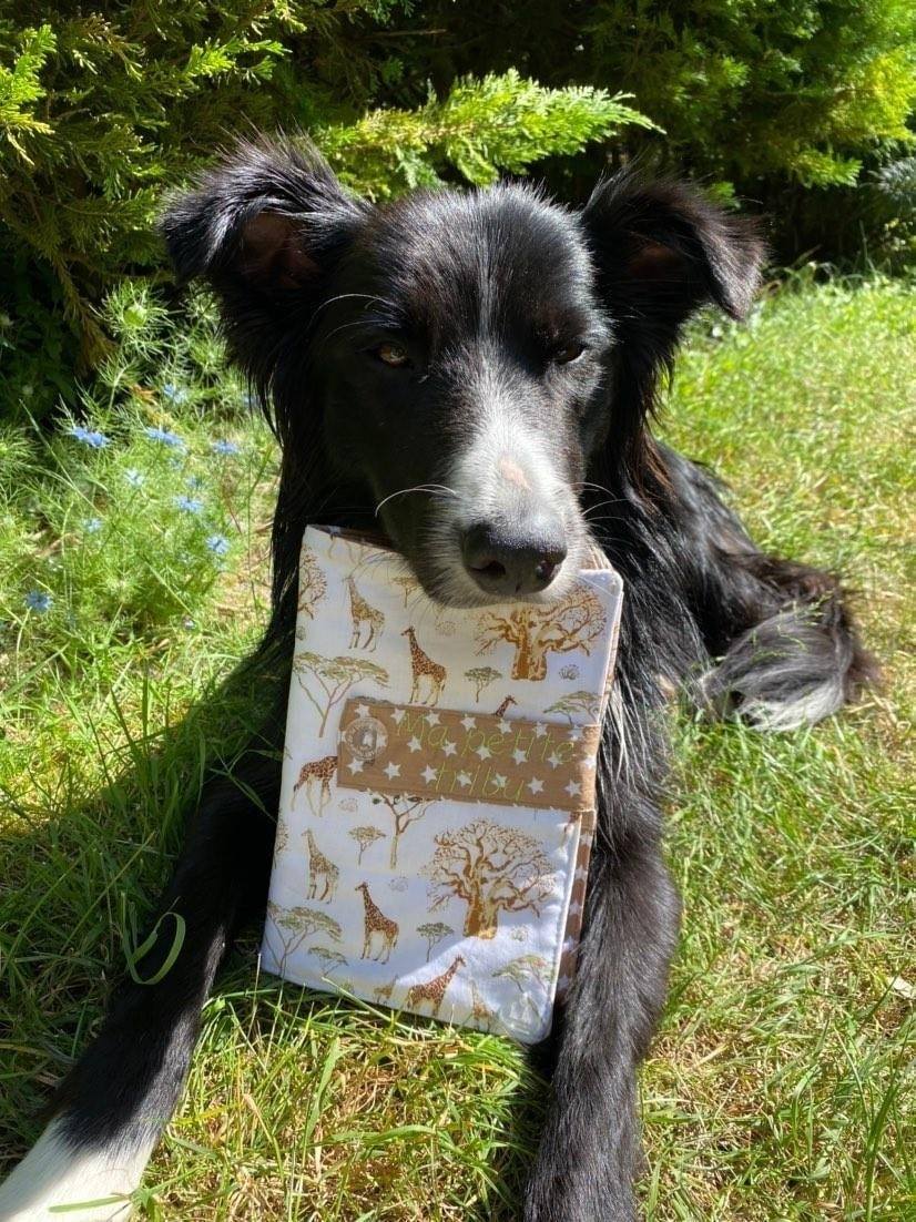 C’est l’heure de la promenade – Accessoires pour chiens