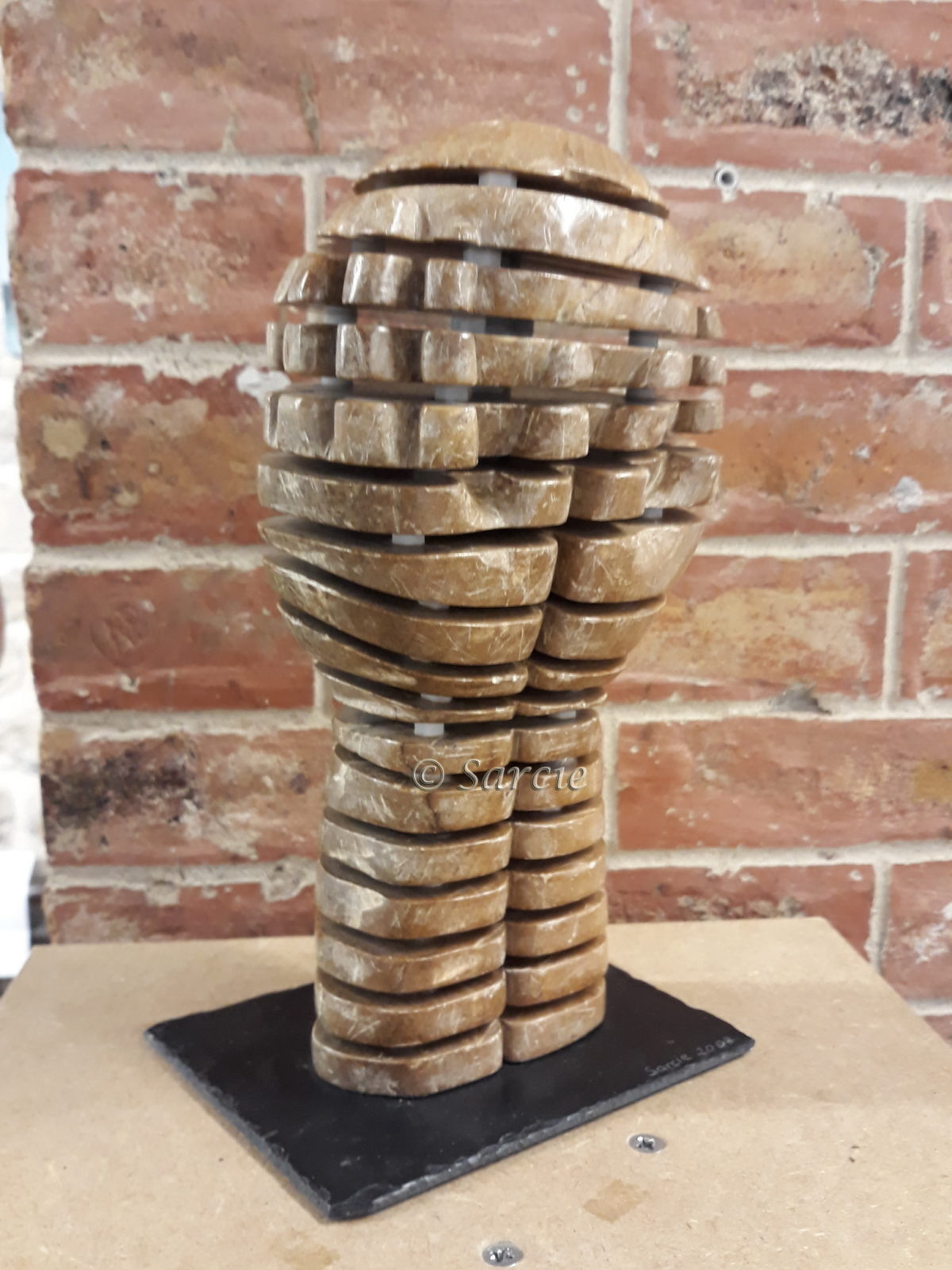 Sarcie – Sculpture & Photographie