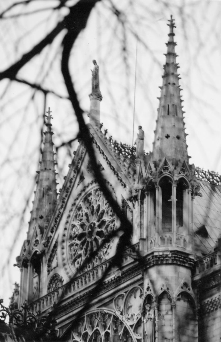 Sarcie – Sculpture & Photographie