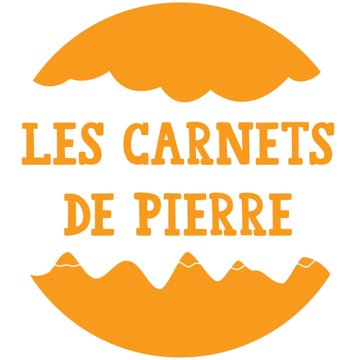 Les Carnets de Pierre – identification de notre environnement