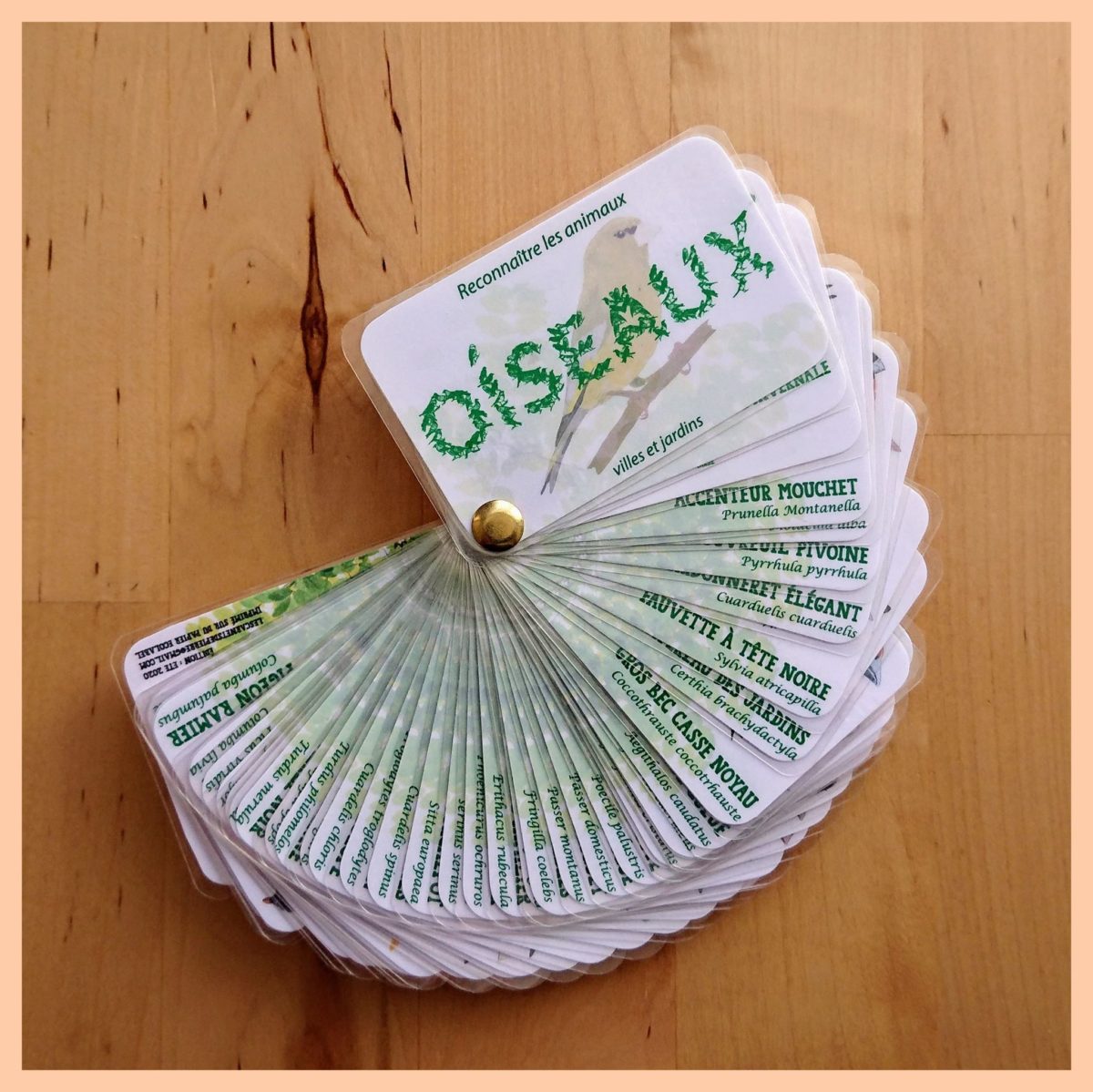 Les Carnets de Pierre – identification de notre environnement