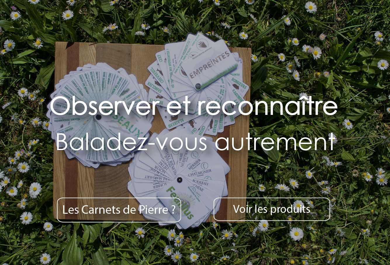 Les Carnets de Pierre – identification de notre environnement