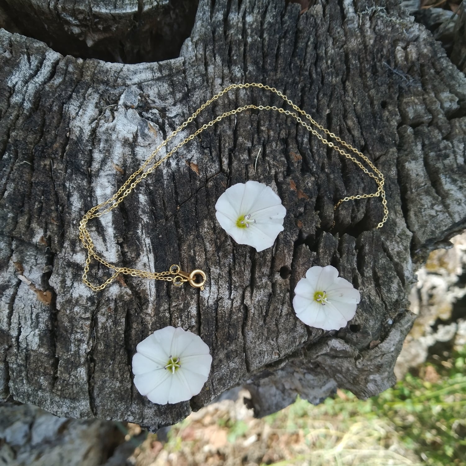 Atelier Passiflore – Créations végétales