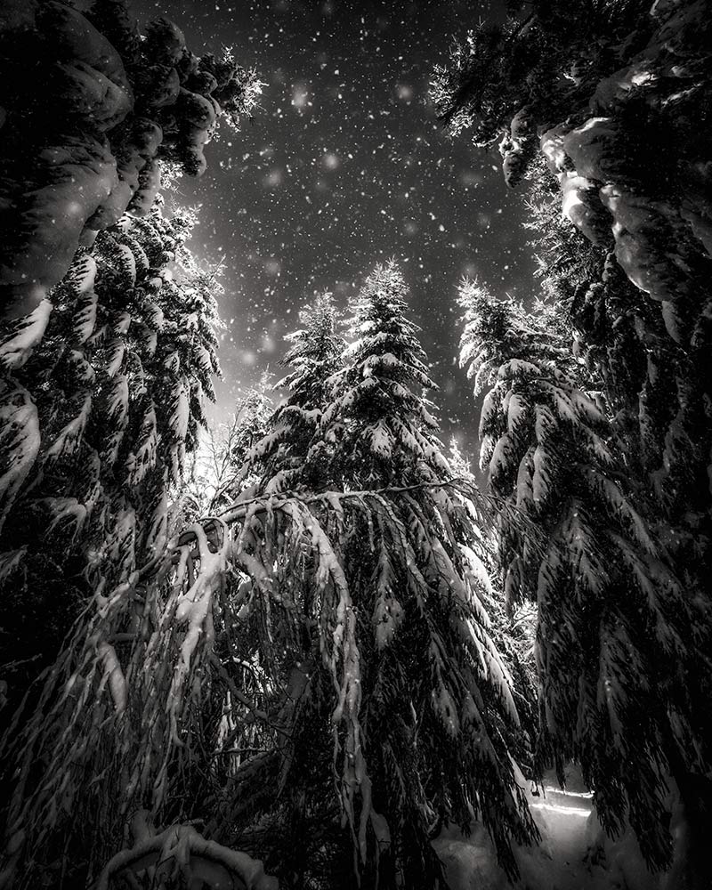 Franck CHARLES – Photographe