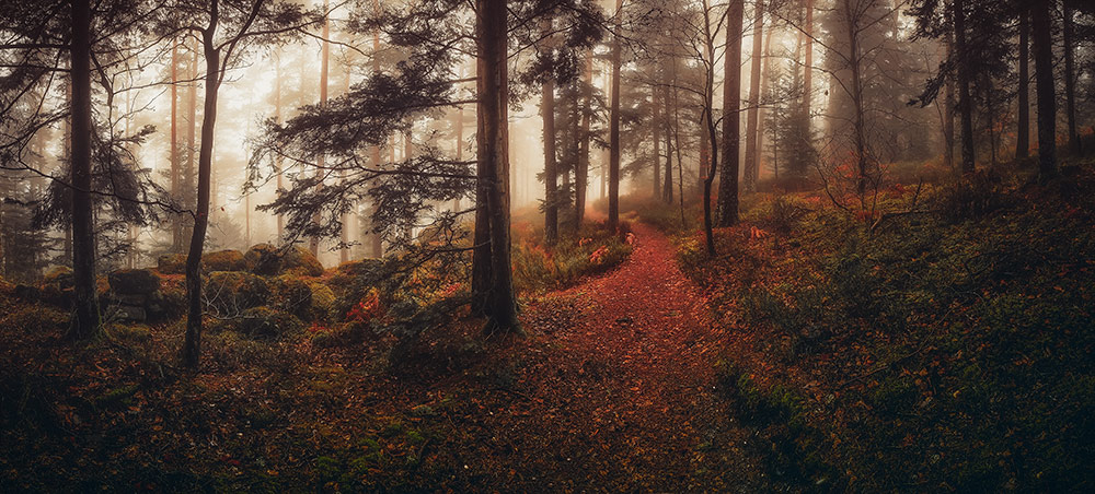 Franck CHARLES – Photographe