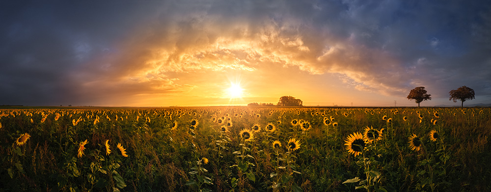 Franck CHARLES – Photographe