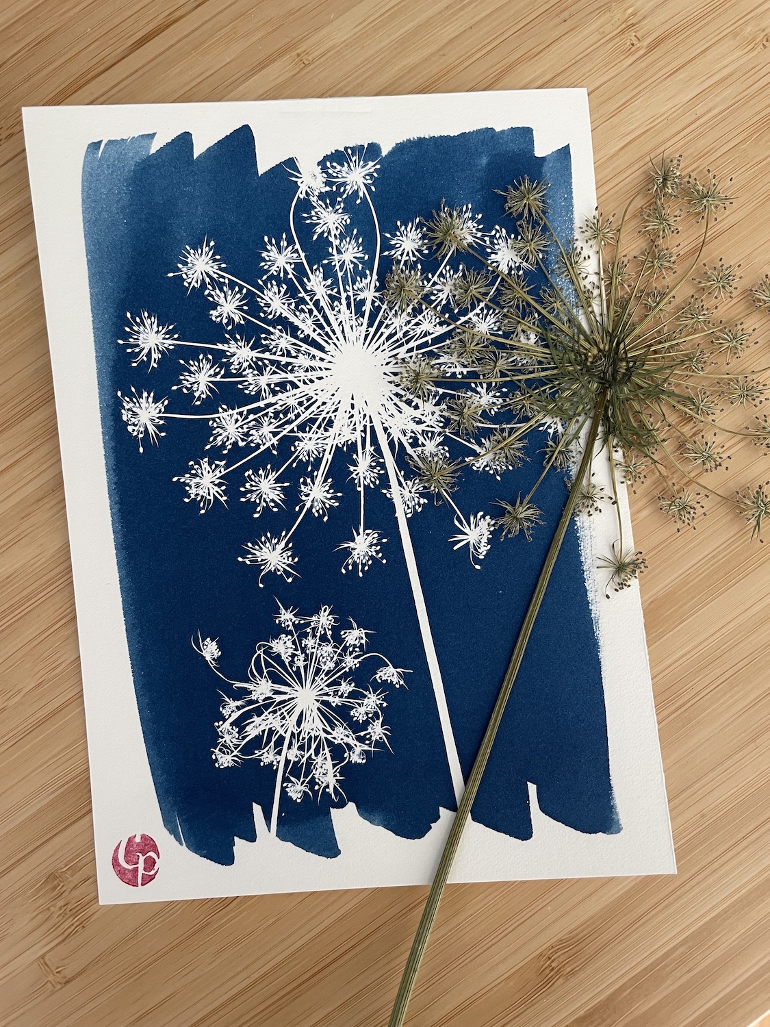 Sept Nuances de Bleu – Cyanotypes botaniques