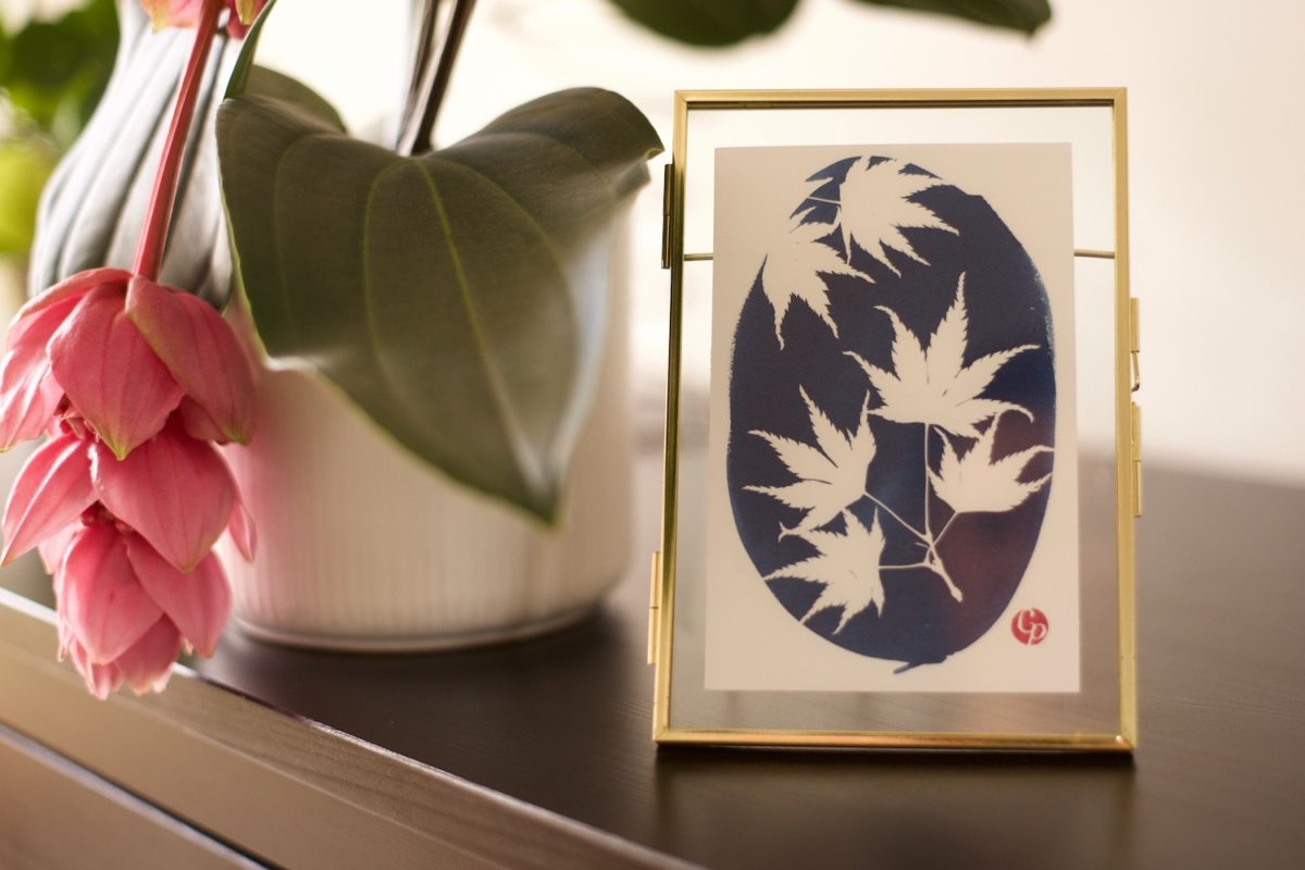 Sept Nuances de Bleu – Cyanotypes botaniques