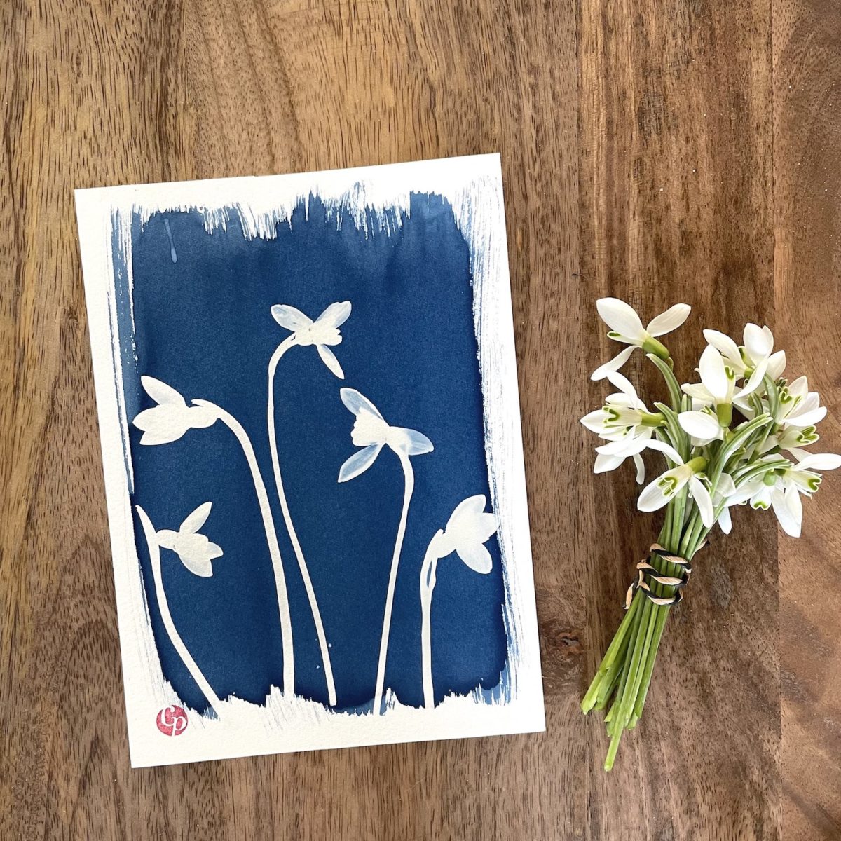 Sept Nuances de Bleu – Cyanotypes botaniques