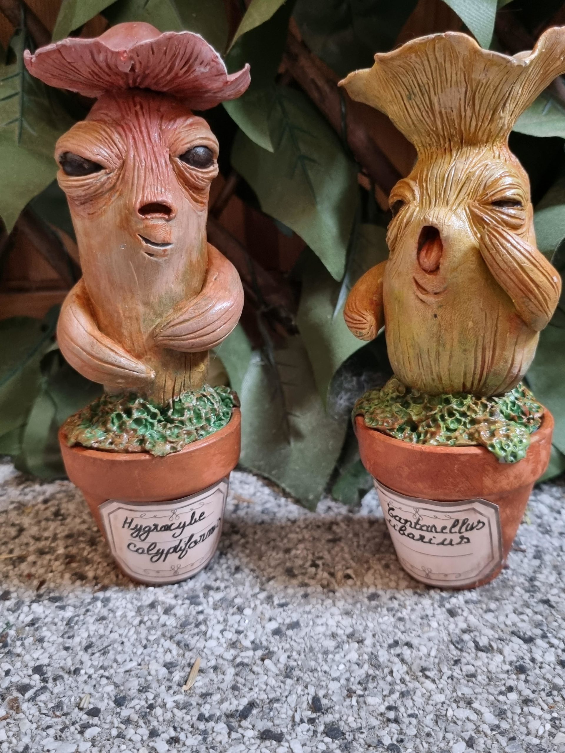 L’atelier des Sorcières – Créatures fantastiques et étranges