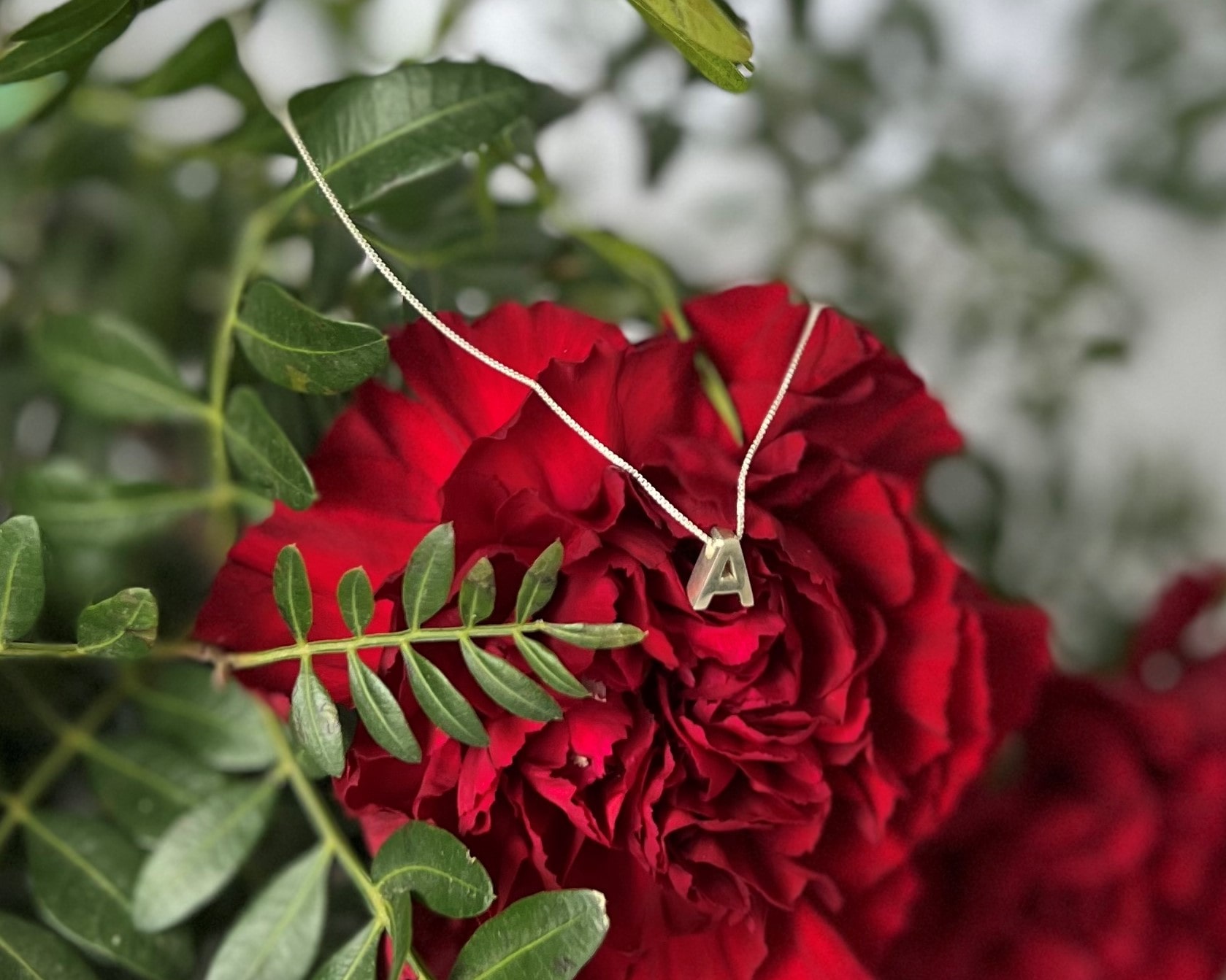 Claveles Rojos – Bijoux