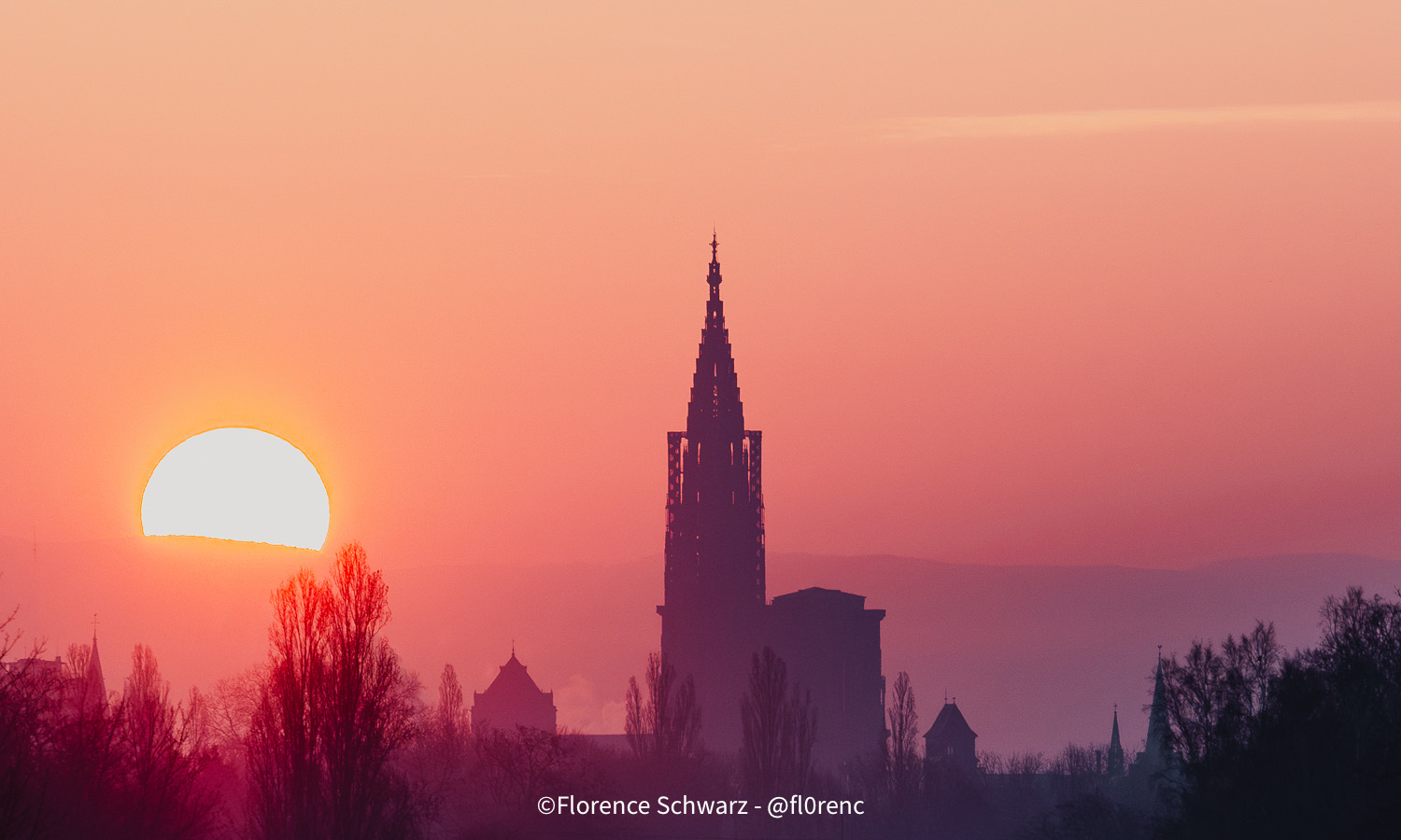 Schwarz Florence – Photographie