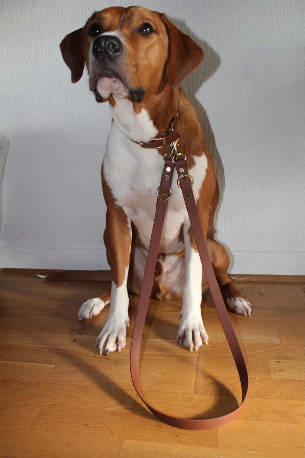 Jacky&Jocke – Accessoires pour chien