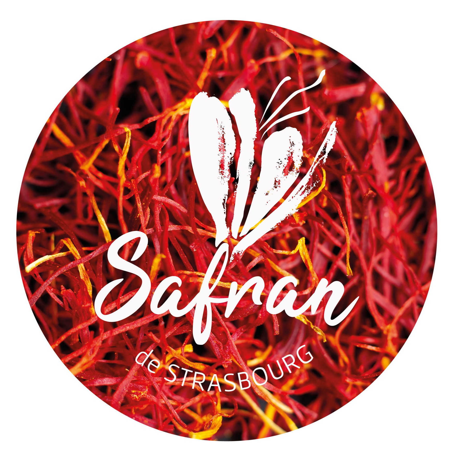 Safran de Strasbourg – Bio