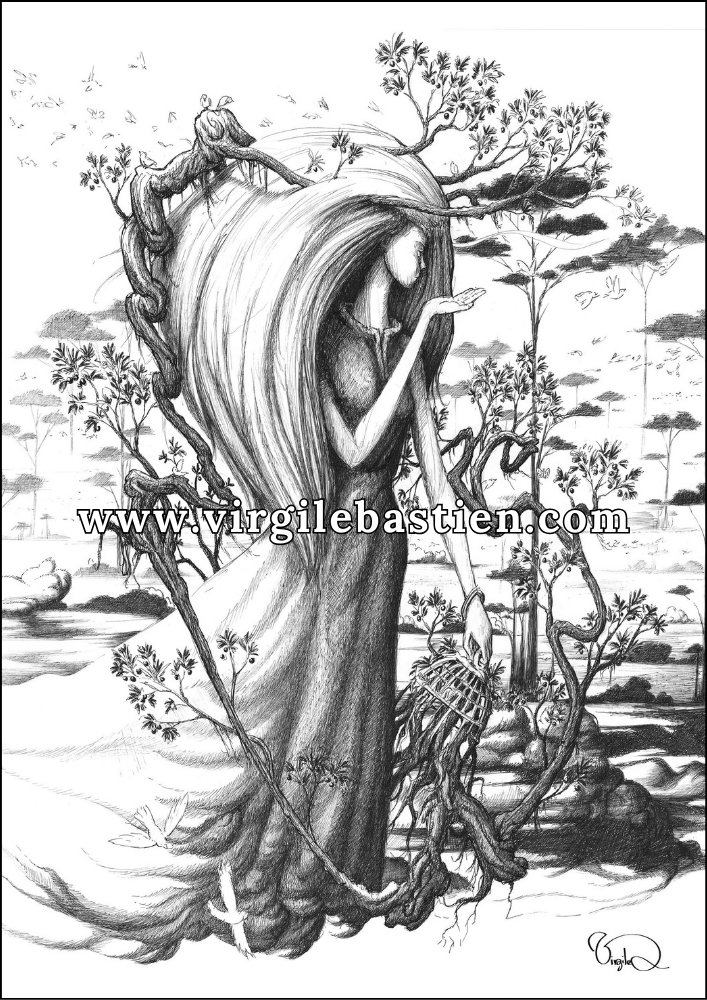 Virgile Bastien – Illustration