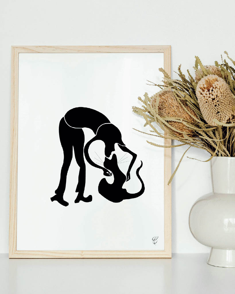 Nuances et courbes – Illustration