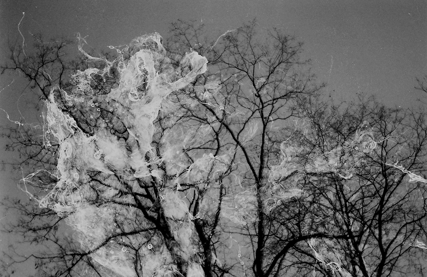 Marie Goehner-David – Photographie