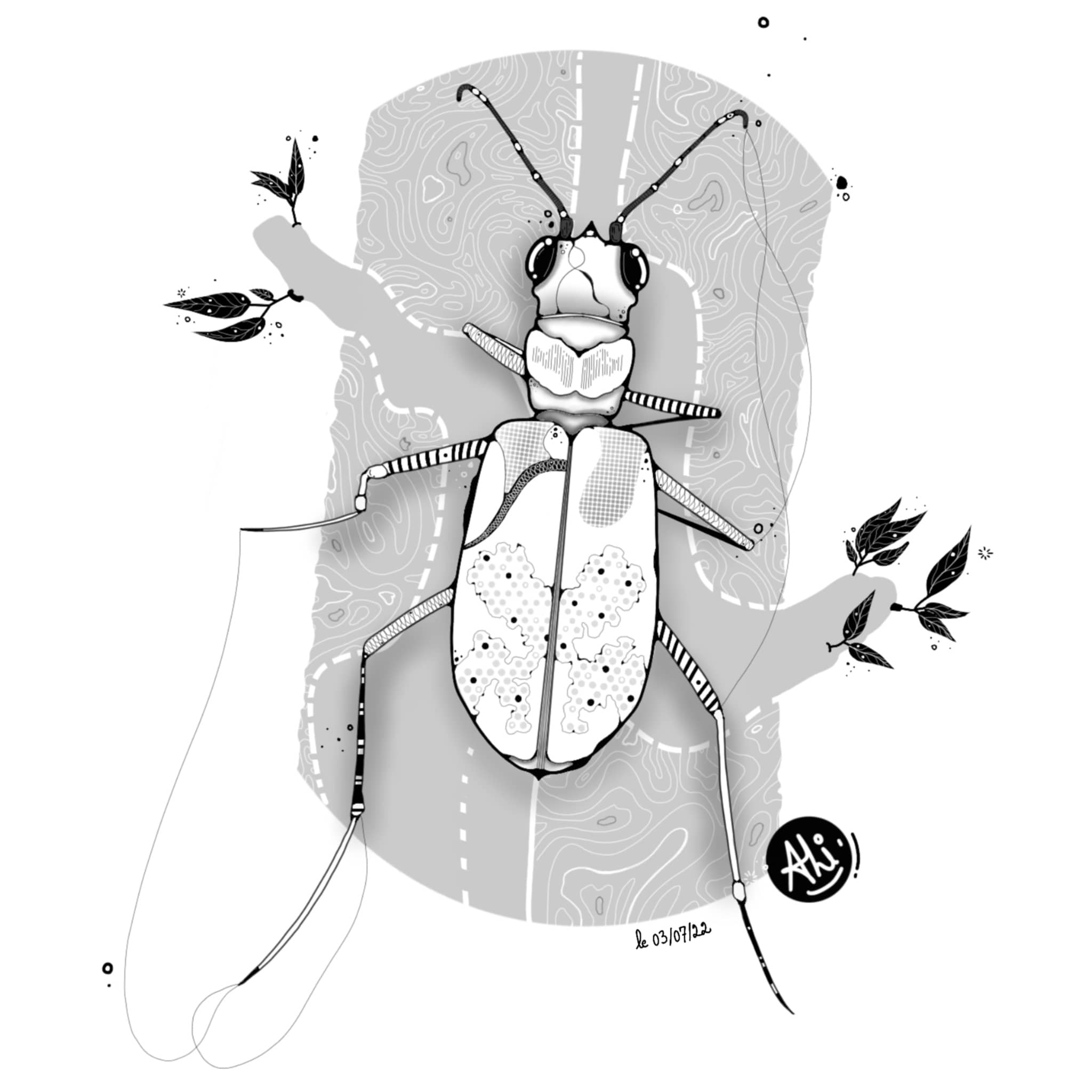 Ali – Illustration