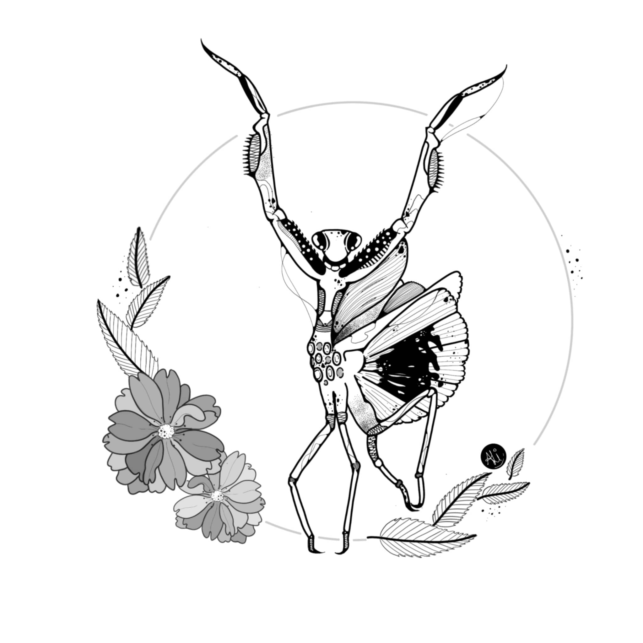 Ali – Illustration