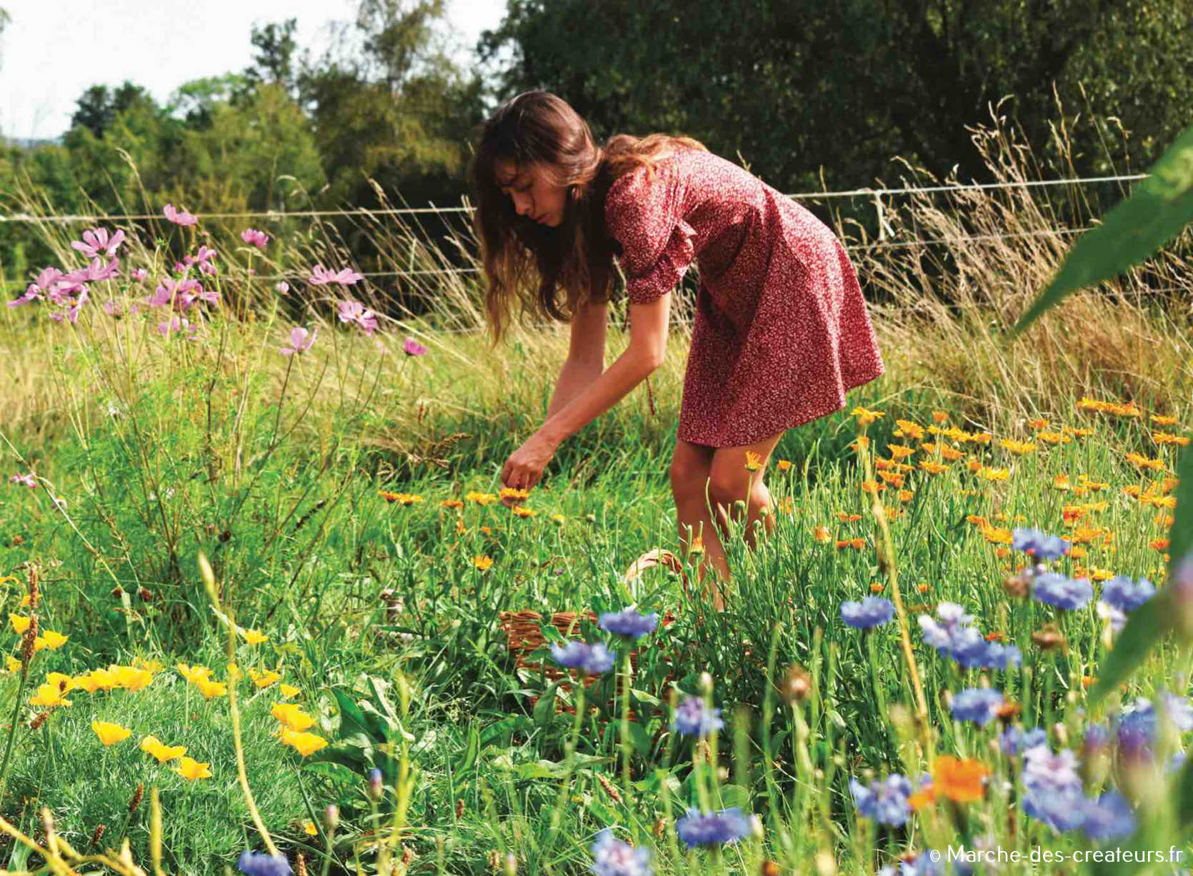 La Cabane aux Herbes – Saveurs et soins botaniques inventifs