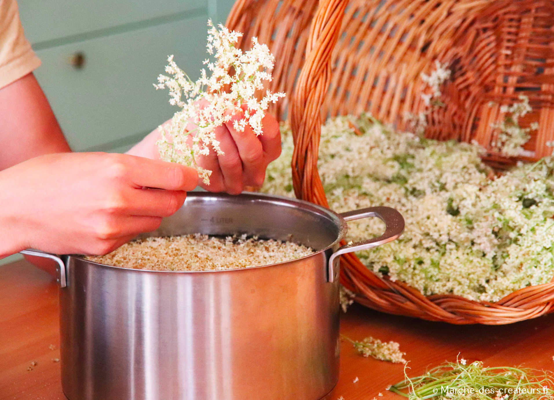 La Cabane aux Herbes – Saveurs et soins botaniques inventifs