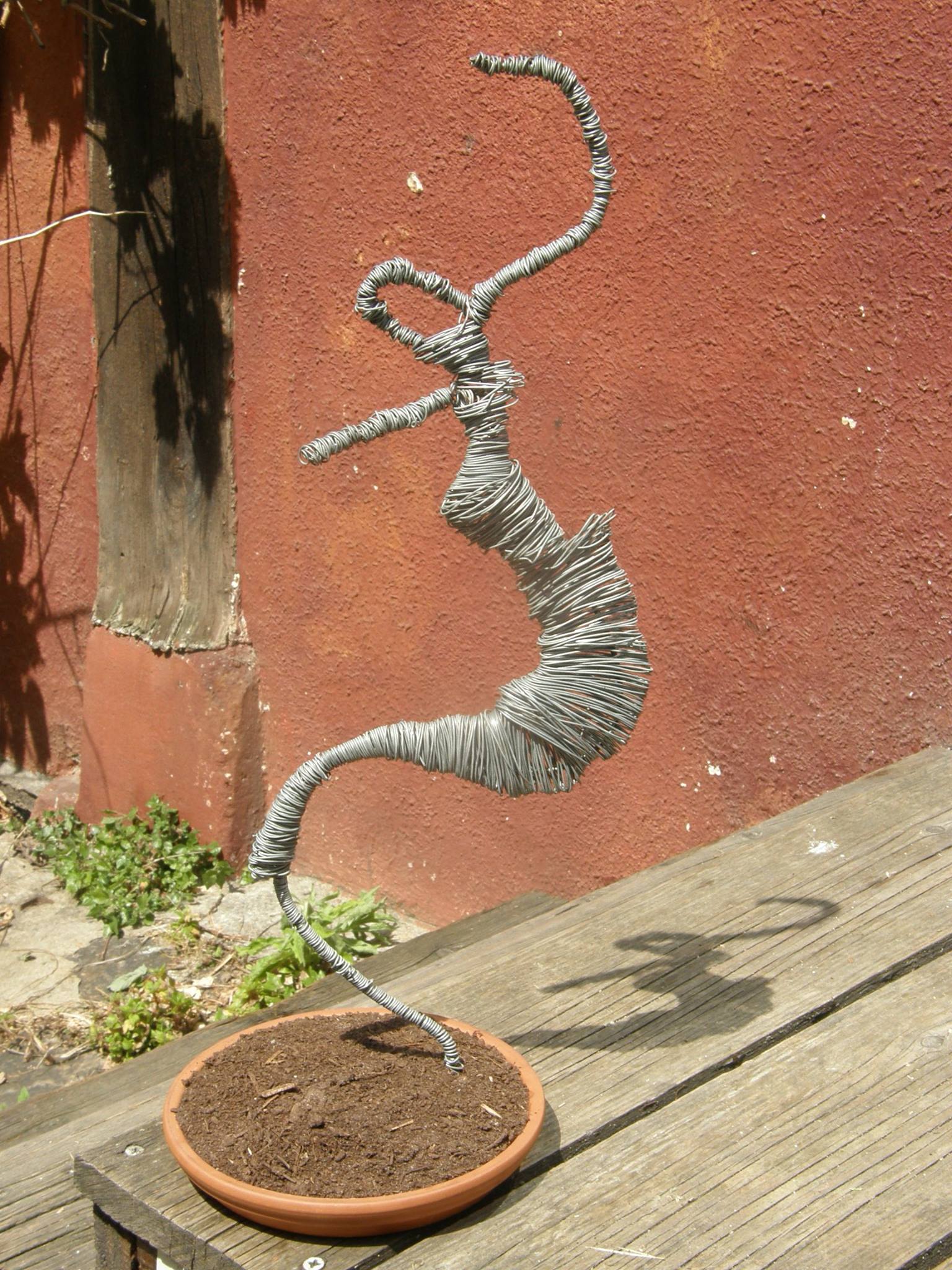 Camso Lei – Plasticienne
