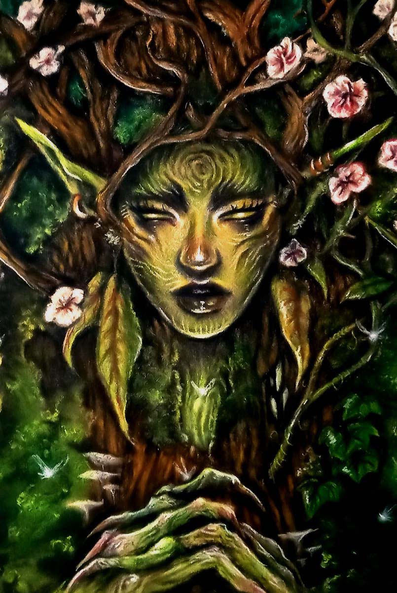 Daphné Raimbaux  – Illustration