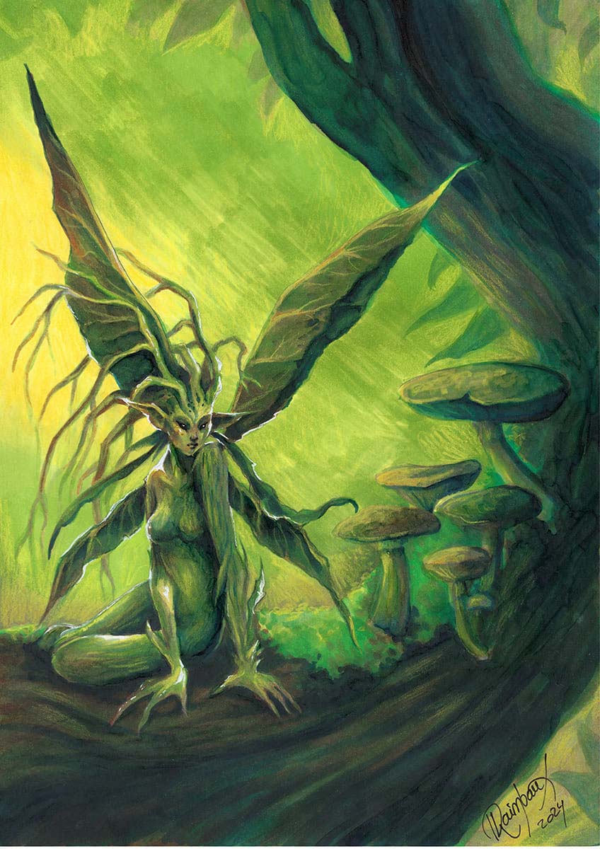 Daphné Raimbaux  – Illustration