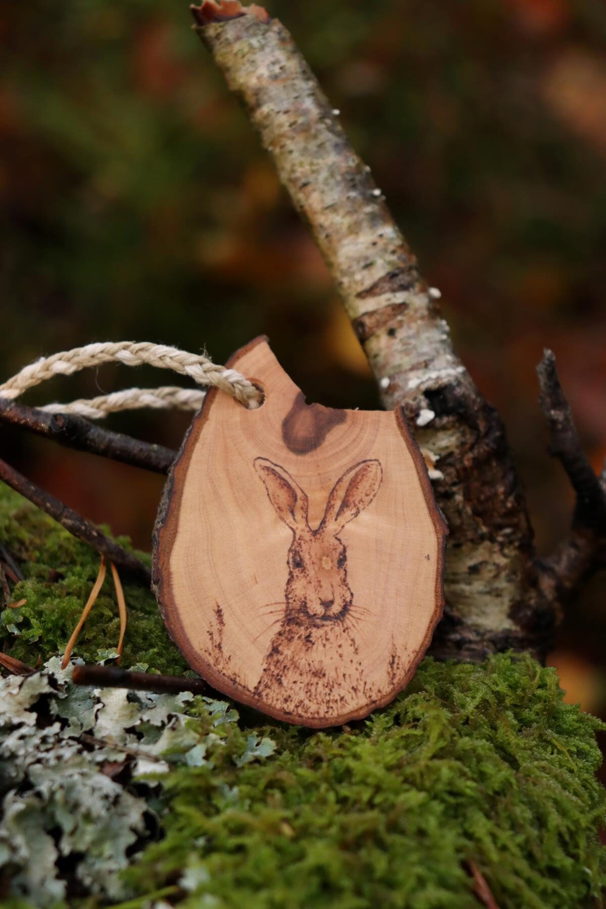 Xyloia – Objets en bois de récupération