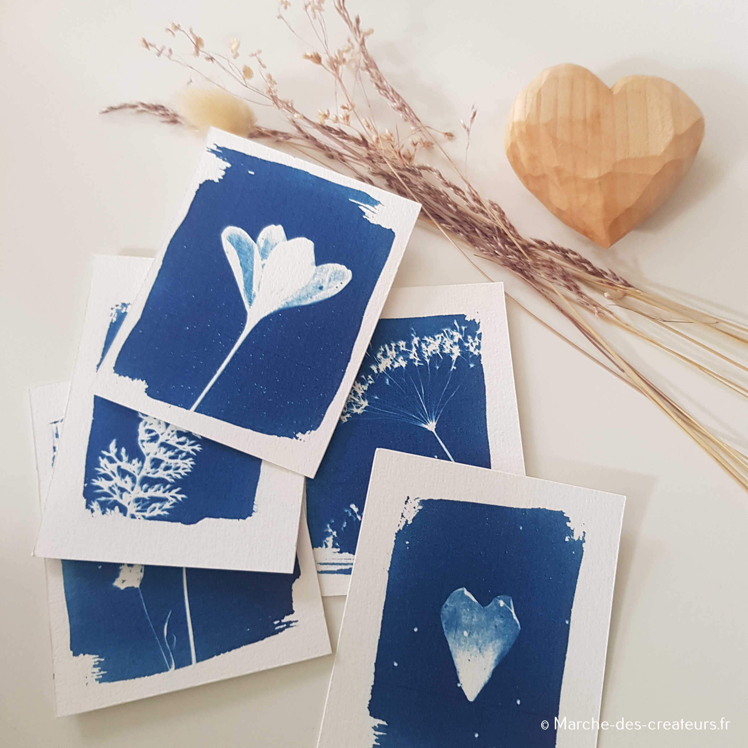 Le chant des lucioles – Cyanotype