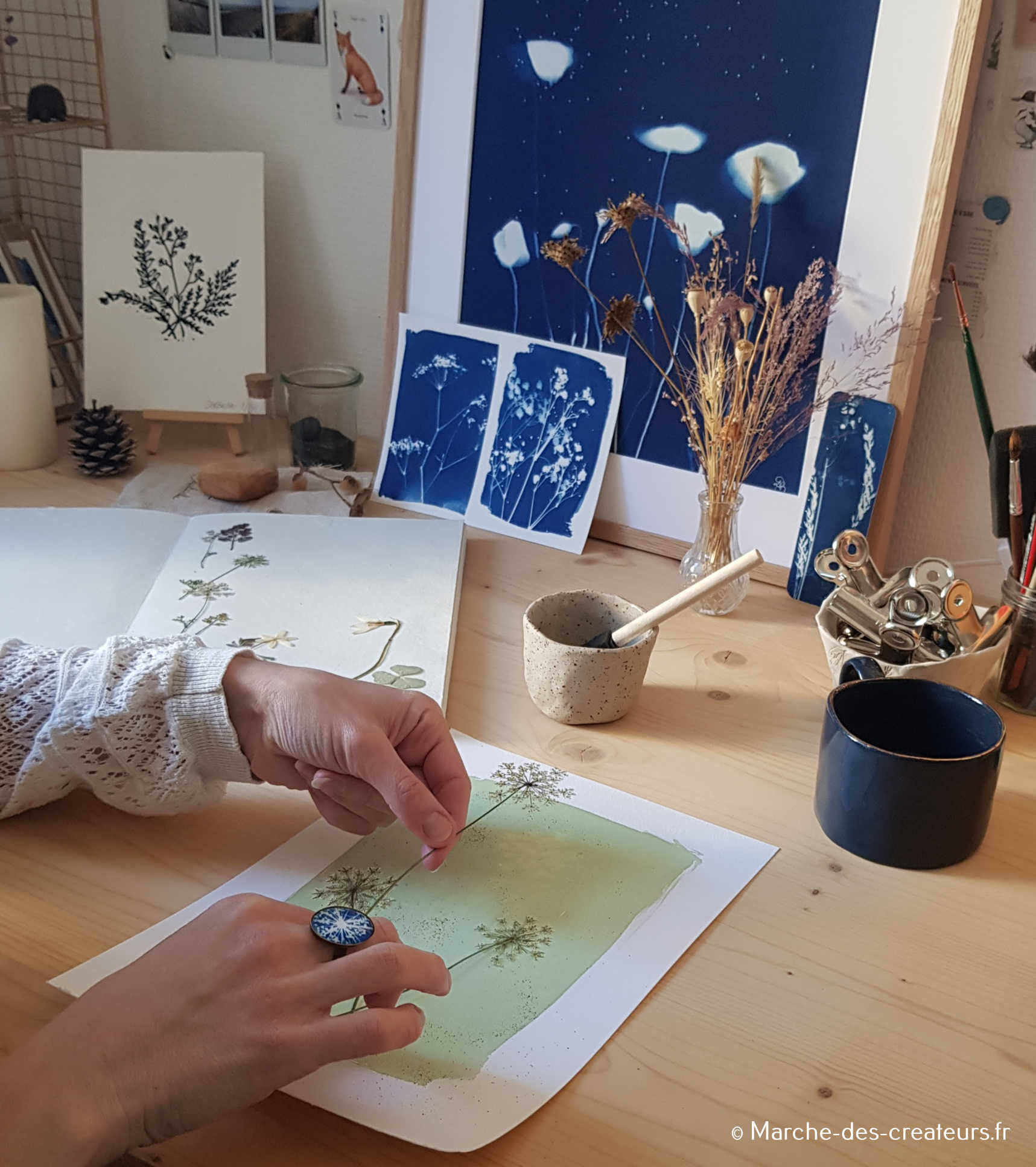 Le chant des lucioles – Cyanotype