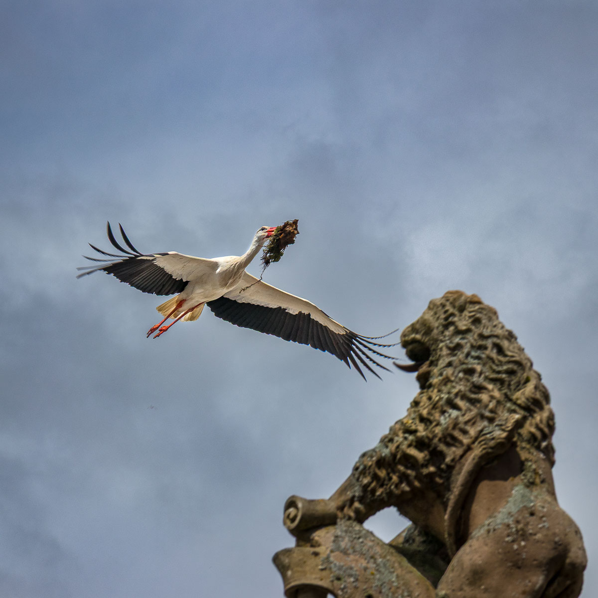 OHappyClic – Photographie