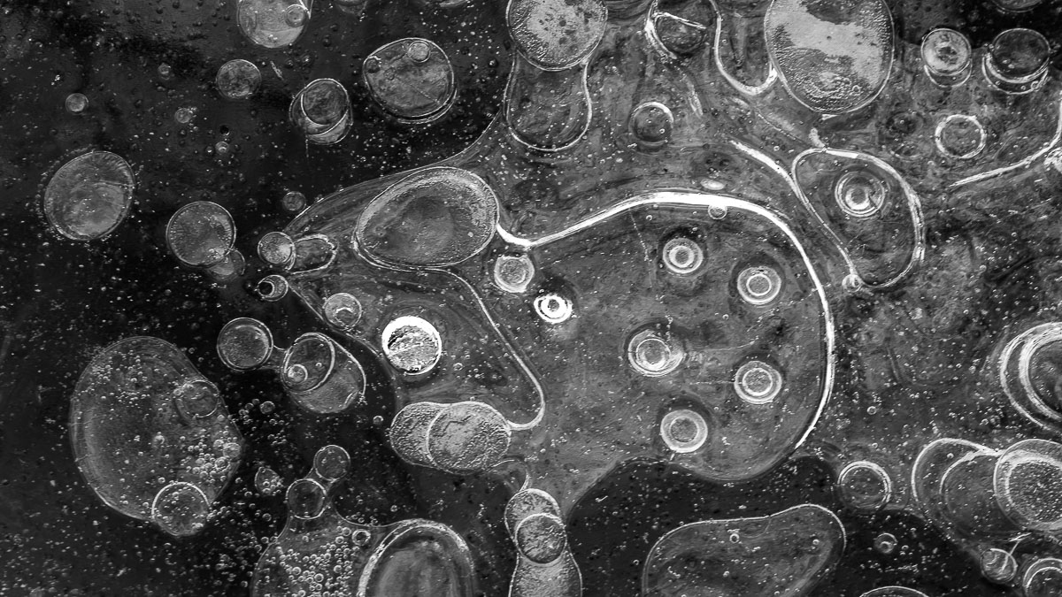 OHappyClic – Photographie