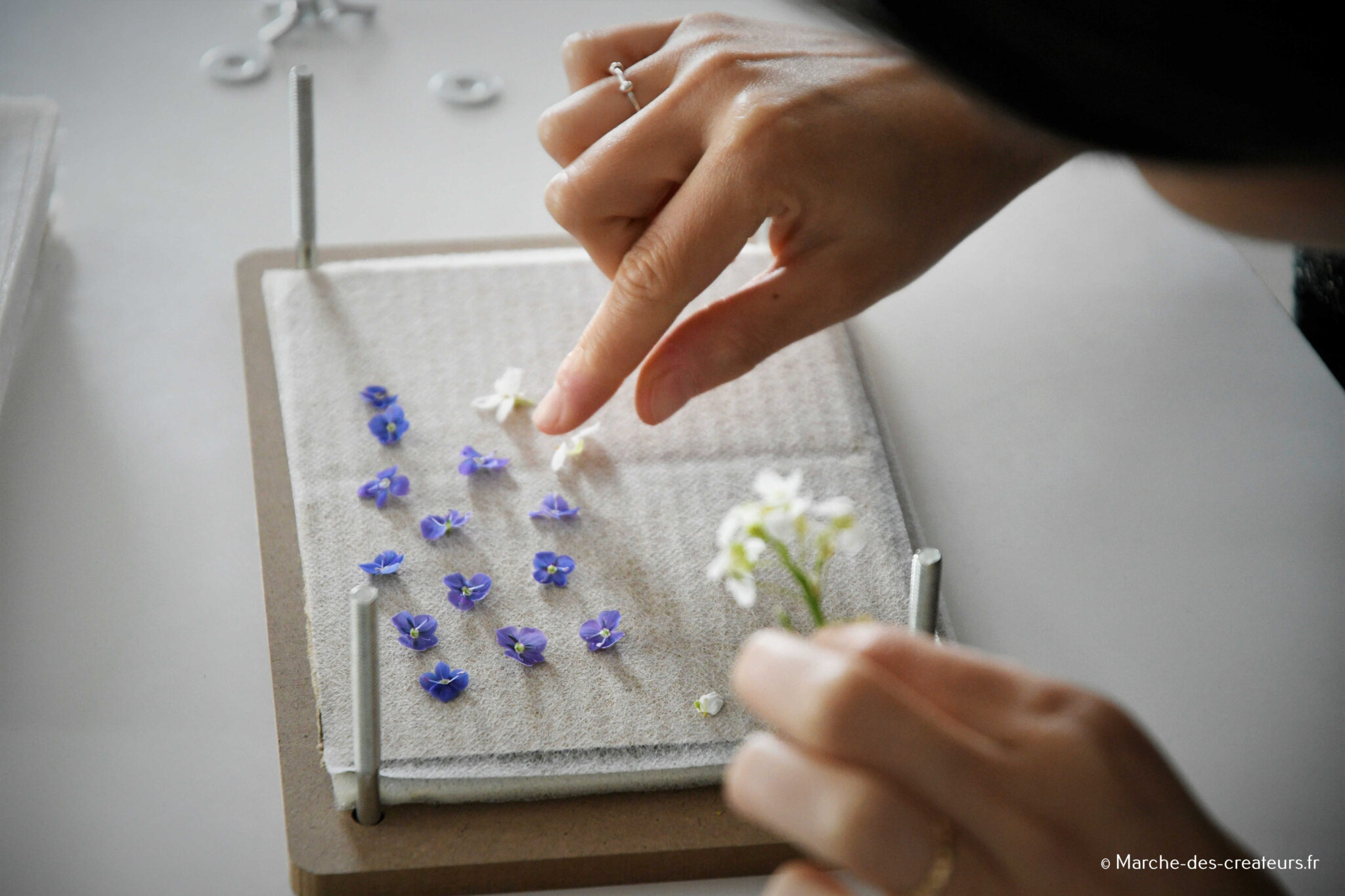 Blue Mage – artisane de lumière et d’empreintes végétales