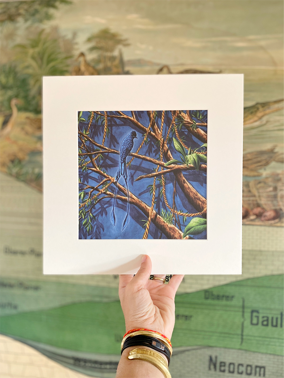 RHIZOMES – Illustration botanique