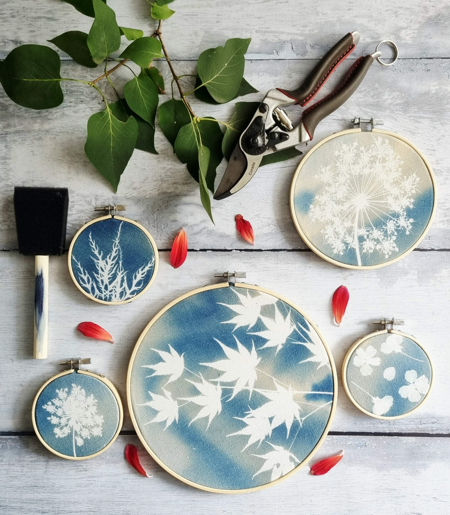 Merci Soleil – Artiste Cyanotype